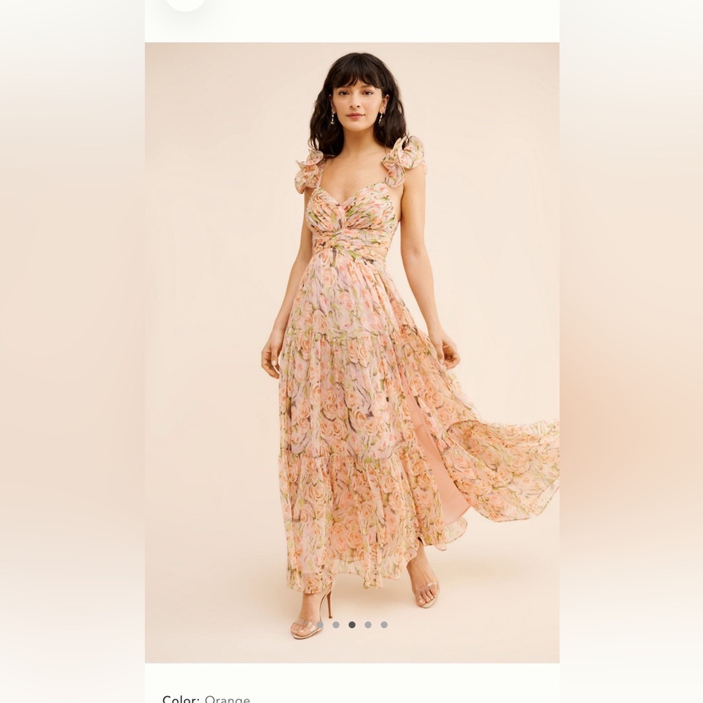 Astr the Label Floral Pink Maxi Dress with Green Accents - Picture 2 of 3